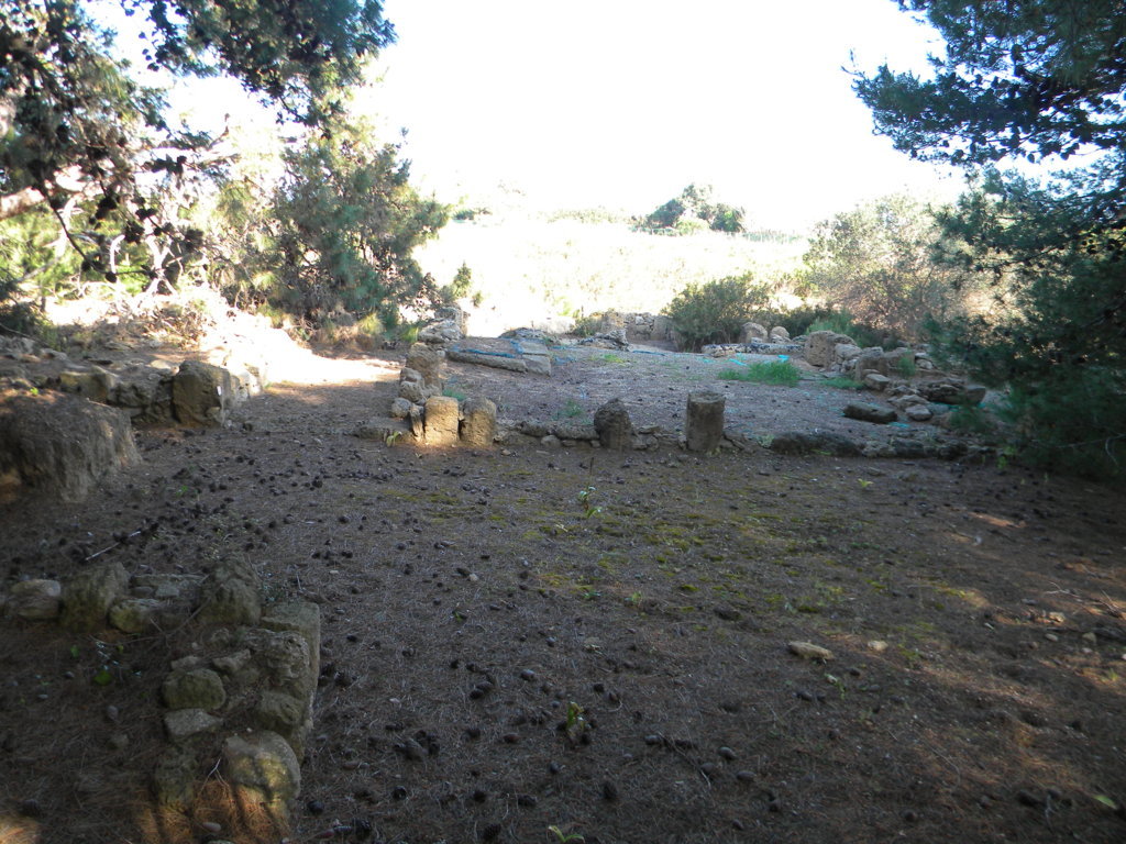 DSCN1864 (FILEminimizer).JPG
